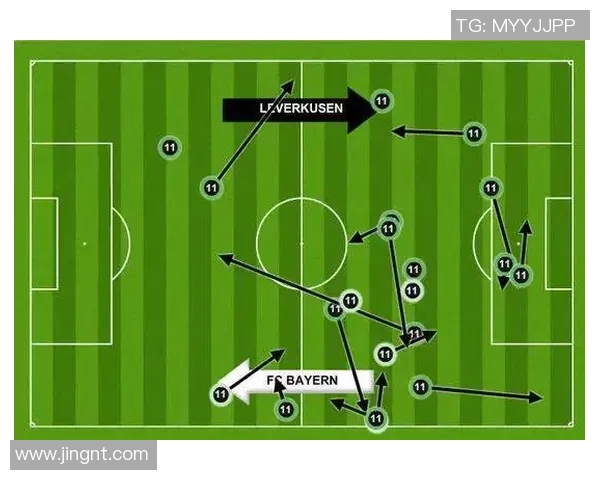 南京羽毛球队反击战术深度解析与实战应用探讨